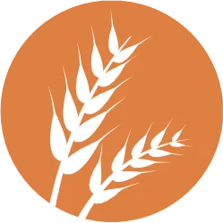 Gluten