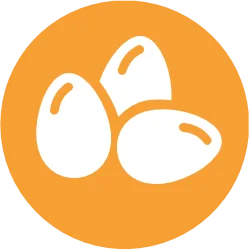 Huevos